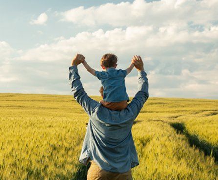 Father and son in wheat field, child sitting on his fathers shoulders