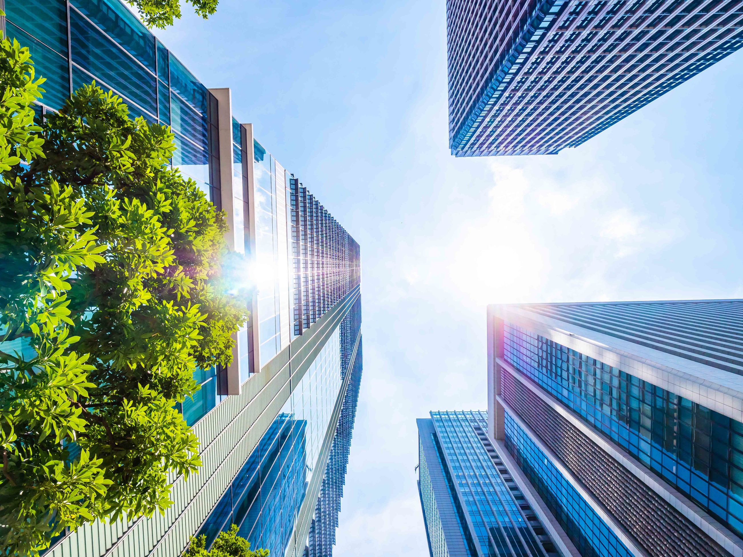 Skyscraper with other buildings in city